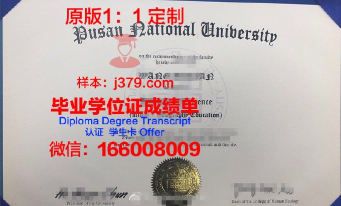 釜山加图立大学diploma证书(韩国加图立大学专业强项)