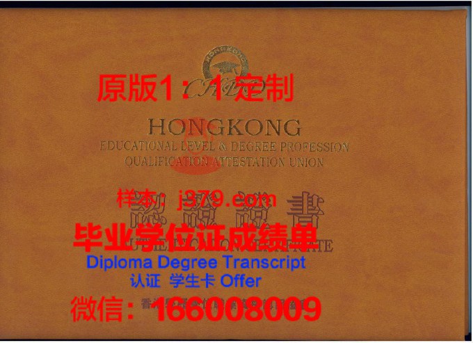 费瓦利大学diploma证书