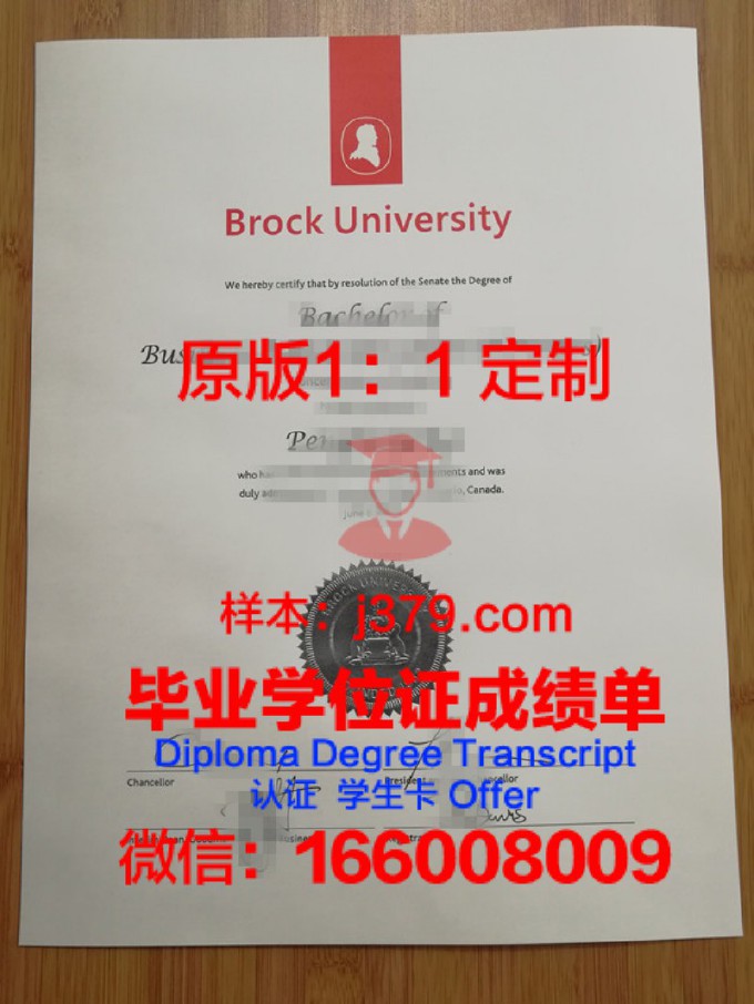 纽约市立大学布鲁克林学院毕业证书原件(纽约大学布鲁克林校区)