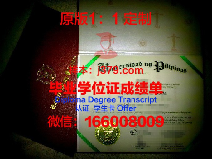 菲律宾大学维萨亚斯分校毕业证长什么样(菲律宾大学官网中文)