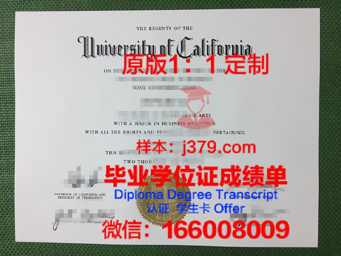 纽约州立大学帕切斯分校博士毕业证书(纽约州立大学帕切斯分校排名)