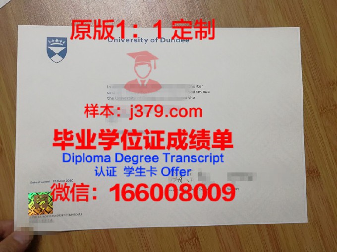 邓迪大学成绩单查询(邓迪大学成绩单查询网站)