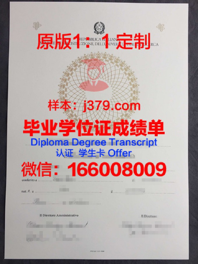 蒂鲁吉拉伯利国家技术学院diploma证书(印度蒂鲁吉拉伯利)