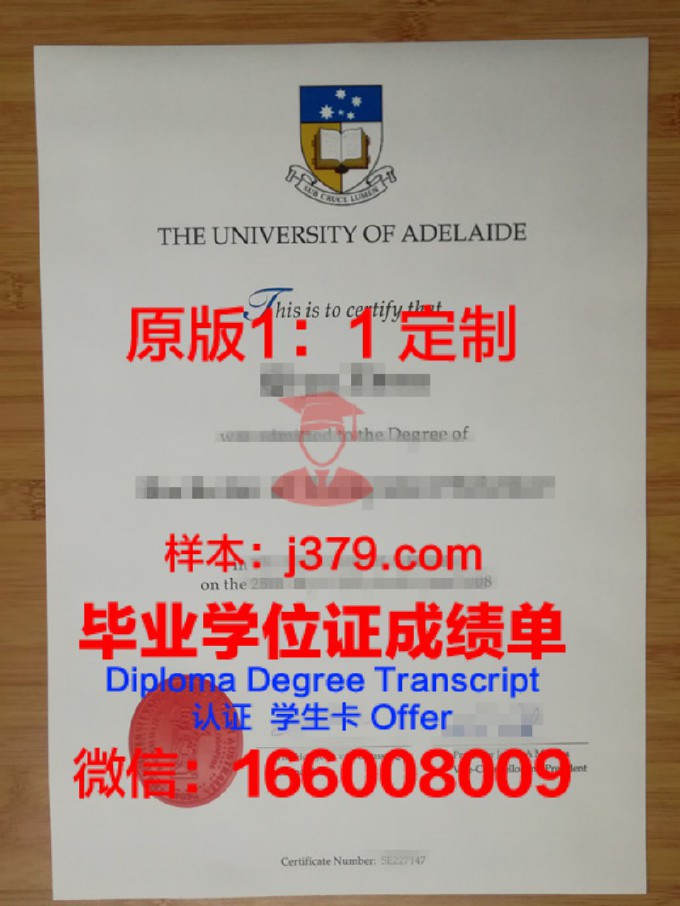 澳大利亚阿德莱德大学diploma证书(澳大利亚阿德莱德大学怎么样)