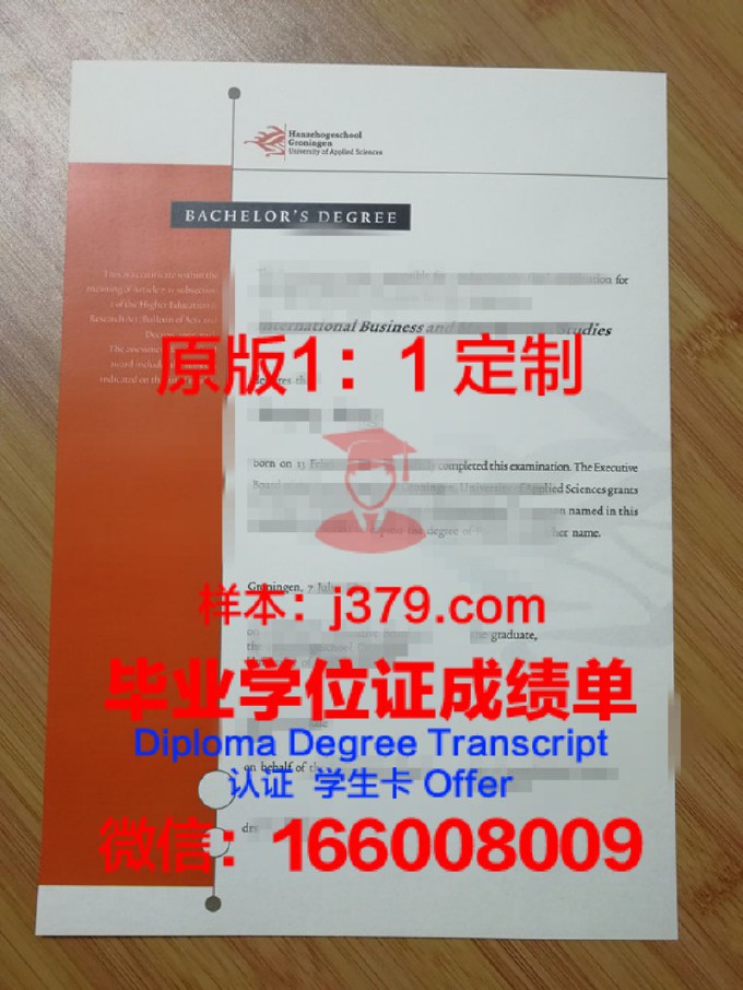 格罗宁根大学毕业证是什么样子(格罗宁根大学本科申请)