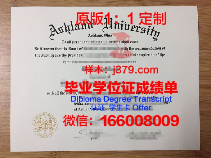 北卡罗莱纳大学阿什维尔分校校园卡(北卡罗来纳大学图标)