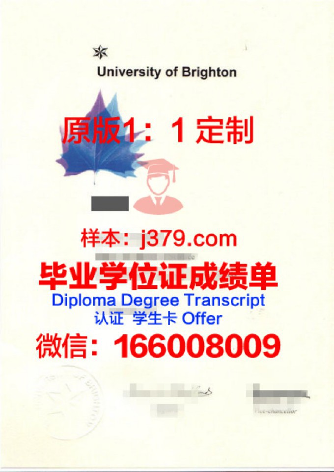 布莱顿大学毕业证图片(布莱顿大学是几等大学)