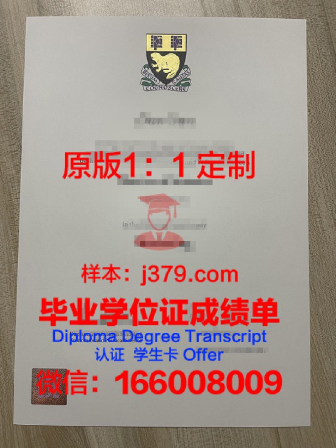 伦敦城市大学毕业证原件(伦敦城市大学毕业证原件图片)