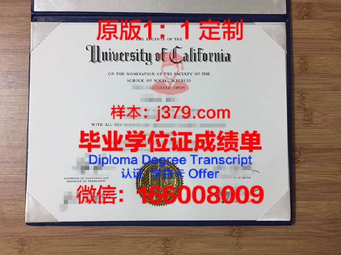 切尔卡瑟国立商学院diploma证书(切尔西学院简称)