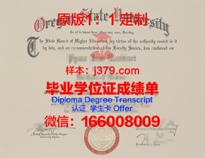 迈诺特州立大学毕业证是什么样呢(迈诺特州立大学排名)