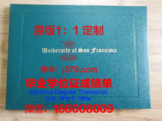 乌尔姆大学毕业证壳子(乌尔姆学院代表作品)