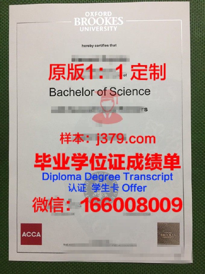 因斯布鲁克大学的毕业证都能做(英国布鲁克斯大学文凭)